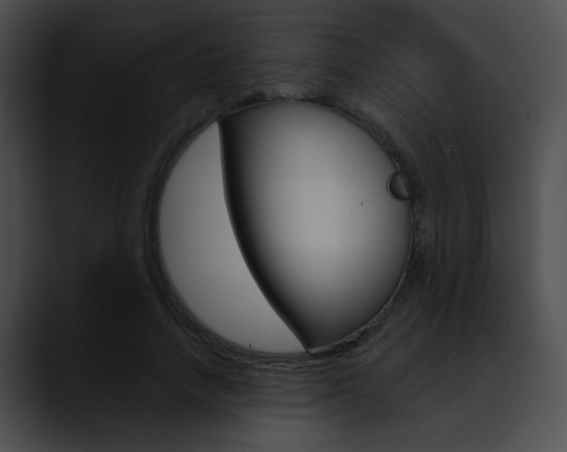X0000090630738200707171135