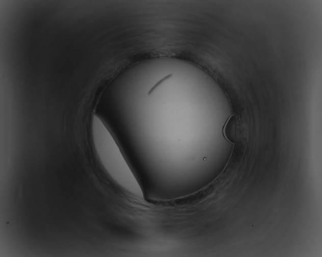 X0000090630742200707171135