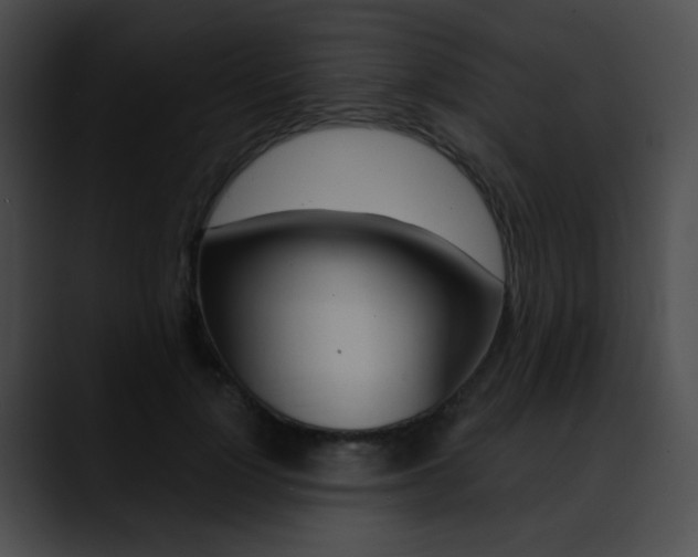 X0000090630748200707171135