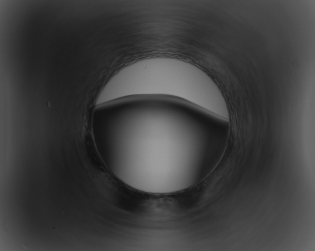 X0000090630752200707171135