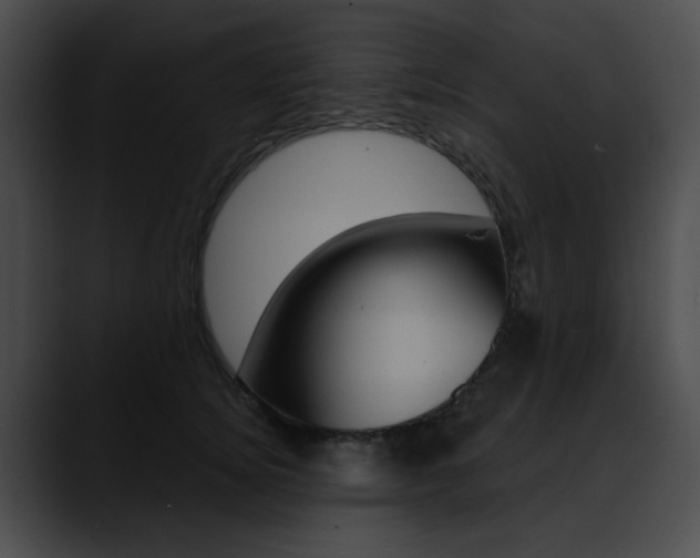 X0000090630756200707171135