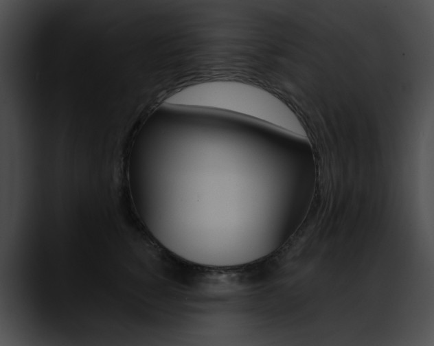 X0000090630760200707171135
