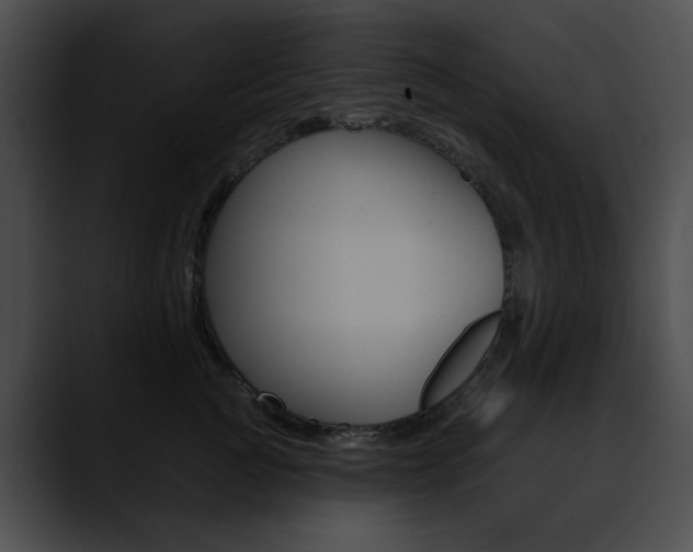 X0000090630761200707171135