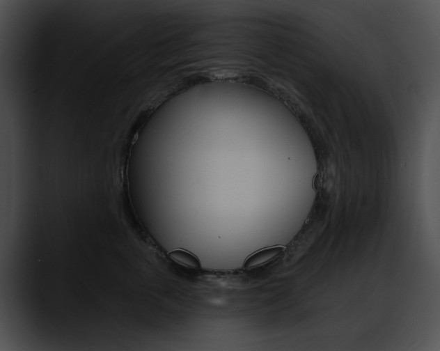 X0000090630763200707171135
