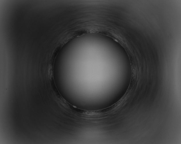 X0000090630766200707171135