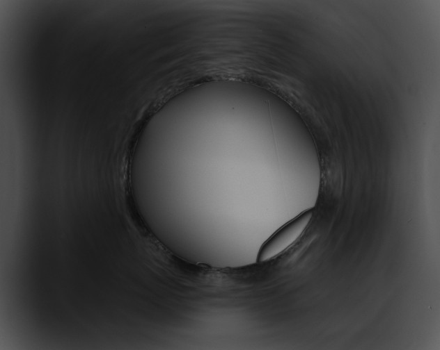 X0000090630767200707171135