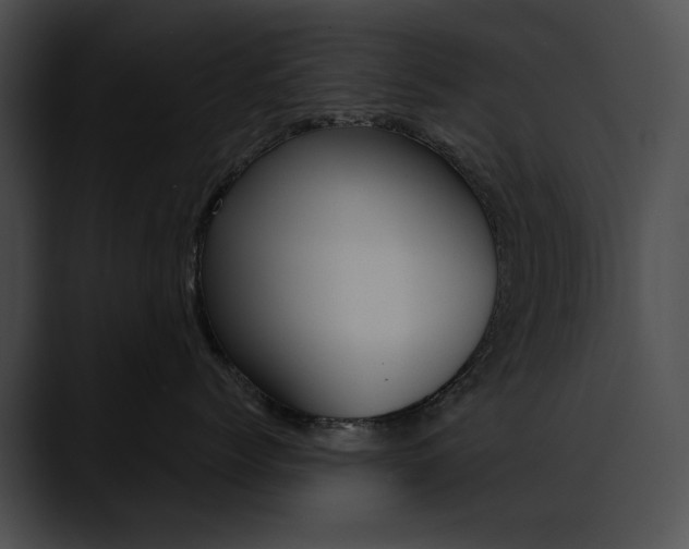 X0000090630768200707171135