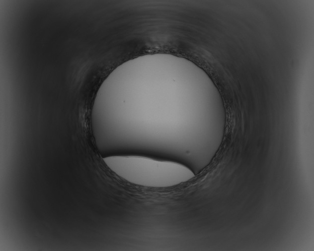 X0000090630770200707171134