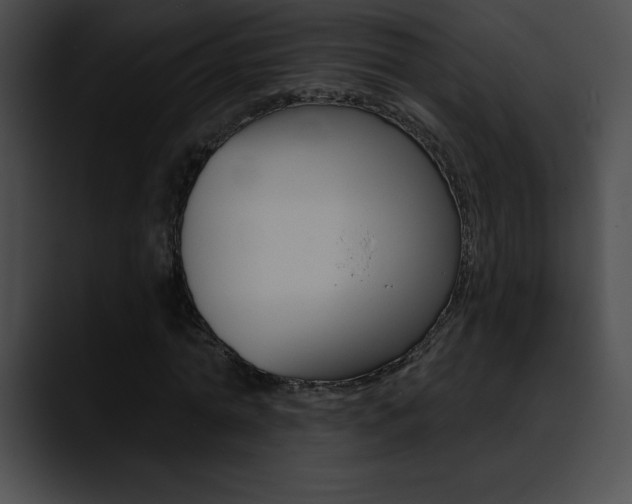 X0000090630774200707171134