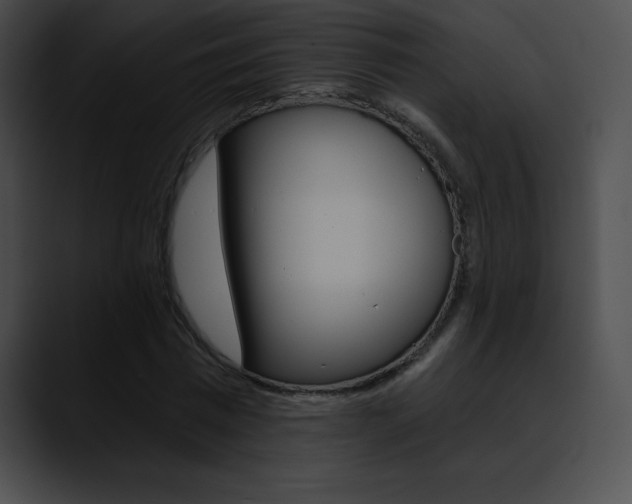 X0000090630777200707171134