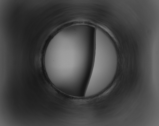 X0000090630783200707171134