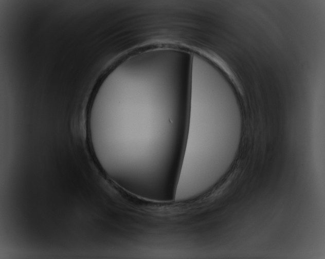 X0000090630791200707171134