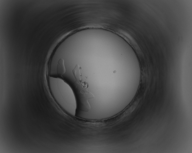 X0000090630804200707171134