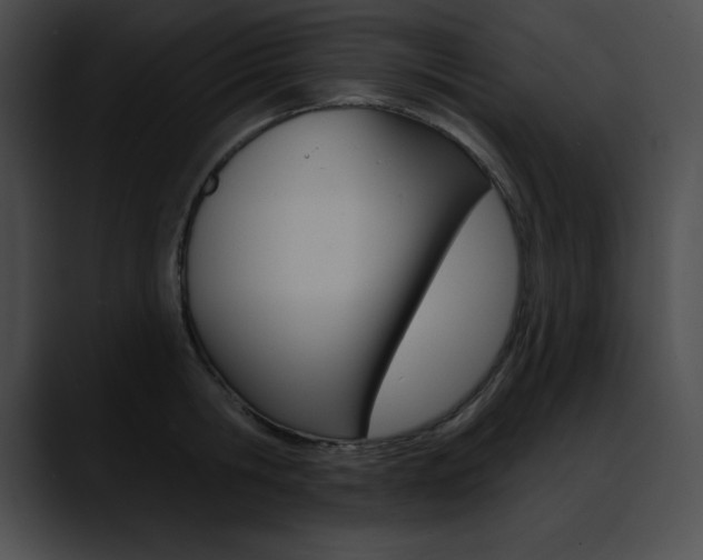X0000090630806200707171134