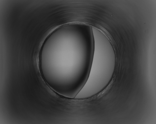 X0000090630812200707171134