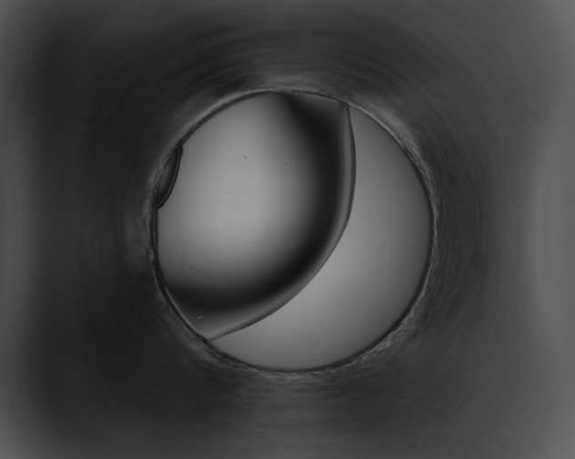 X0000090630816200707171134