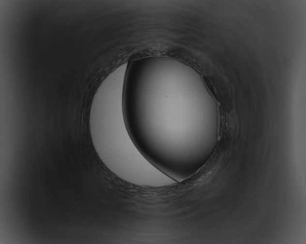 X0000090630818200707171133