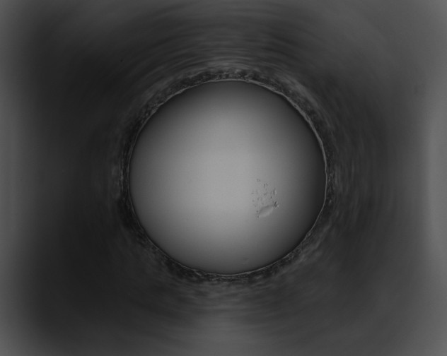 X0000090630821200707171133