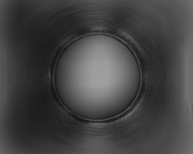 X0000090630825200707171133
