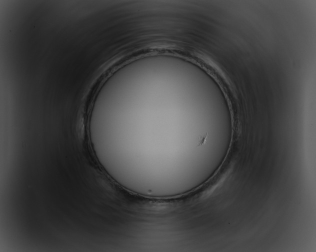 X0000090630829200707171133