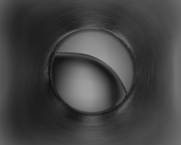 X0000090630830200707171133