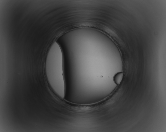 X0000090630841200707171133