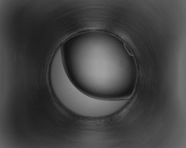 X0000090630842200707171133