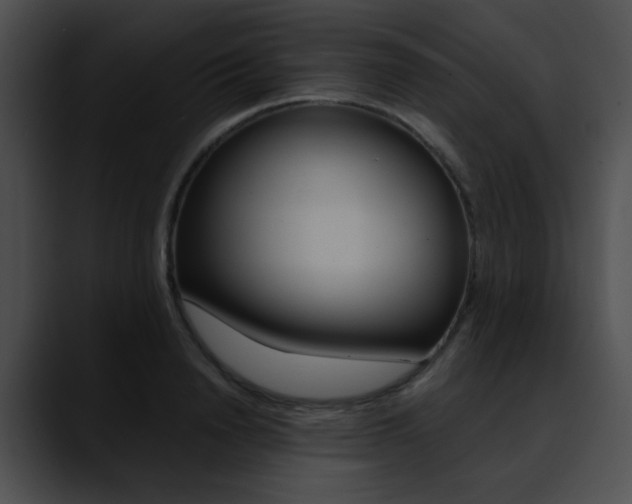 X0000090630846200707171133