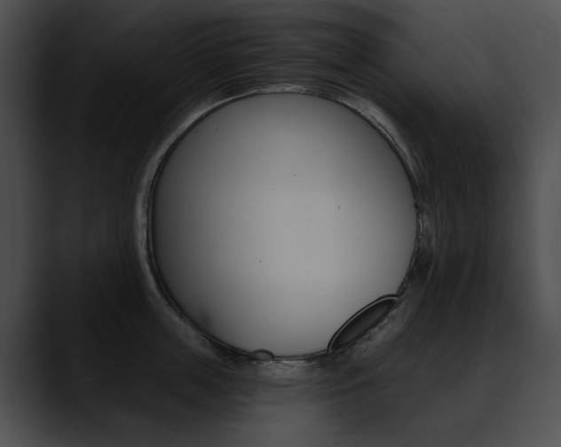 X0000090630859200707171134