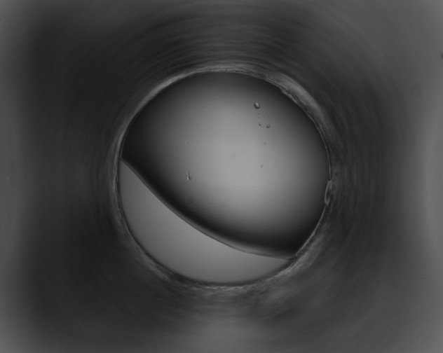 X0000090630860200707171134