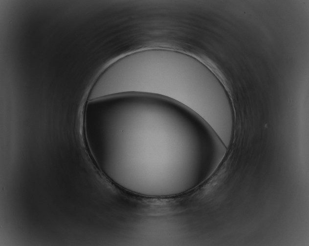X0000090630862200707171134