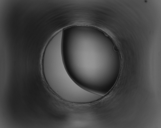 X0000090630864200707171134