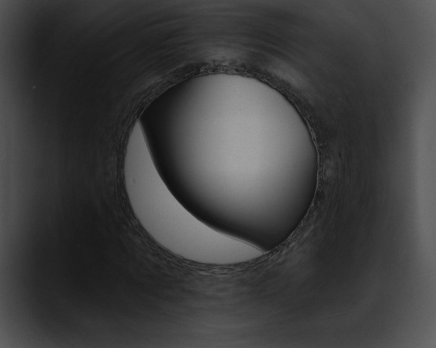 X0000090630869200707171133