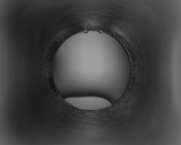X0000090630870200707171133