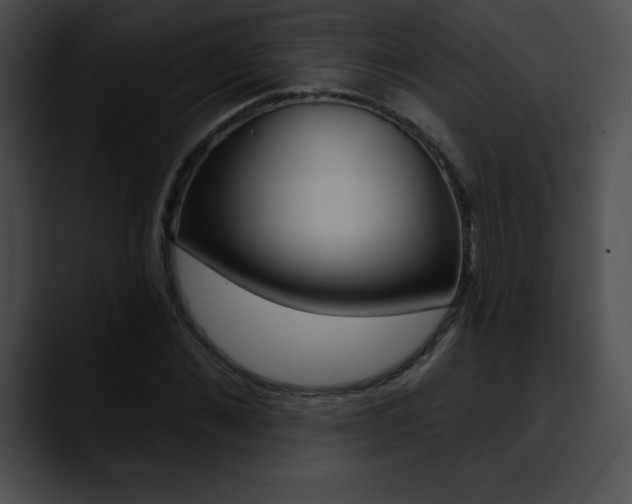 X0000090630876200707171133