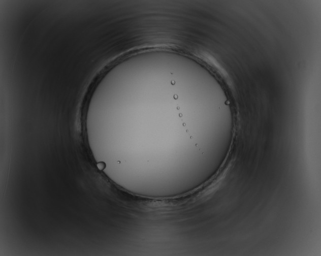 X0000090630883200707171133