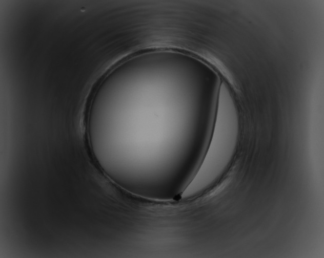 X0000090630885200707171133