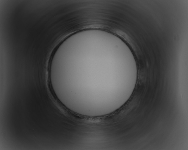 X0000090630890200707171133