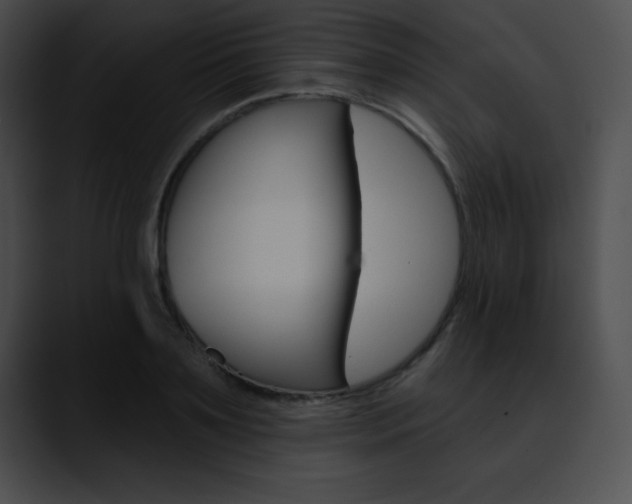X0000090630891200707171133