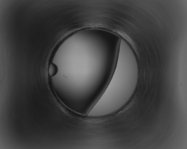 X0000090630894200707171133