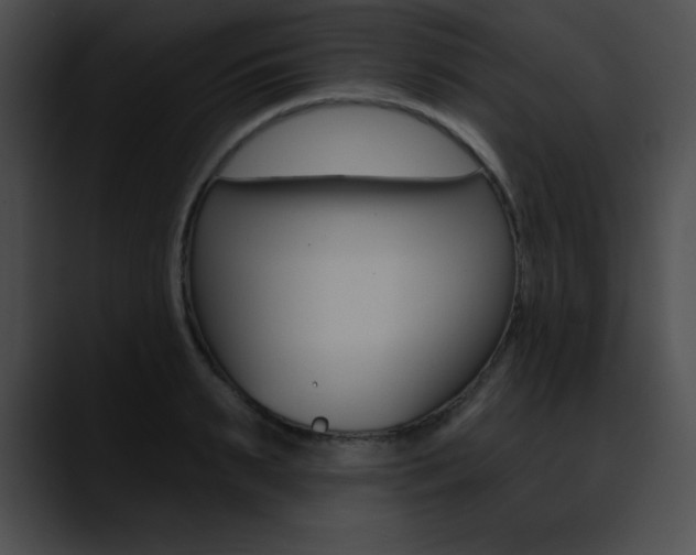 X0000090630895200707171133