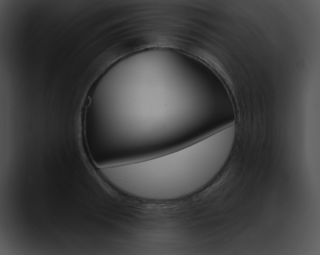 X0000090630898200707171133