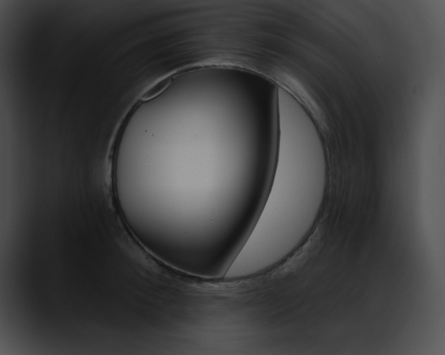 X0000090630900200707171133
