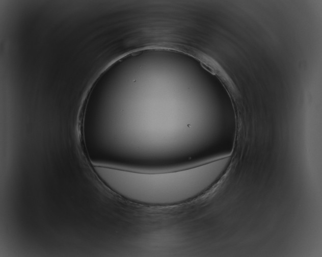 X0000090630908200707171133