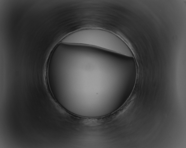 X0000090630909200707171132