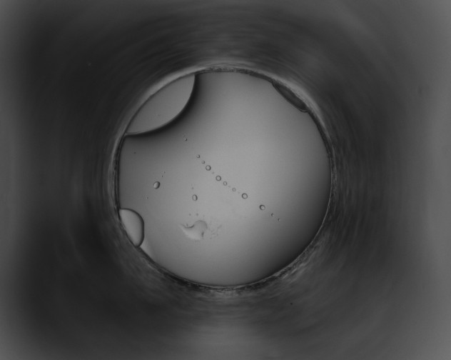 X0000090630911200707171132