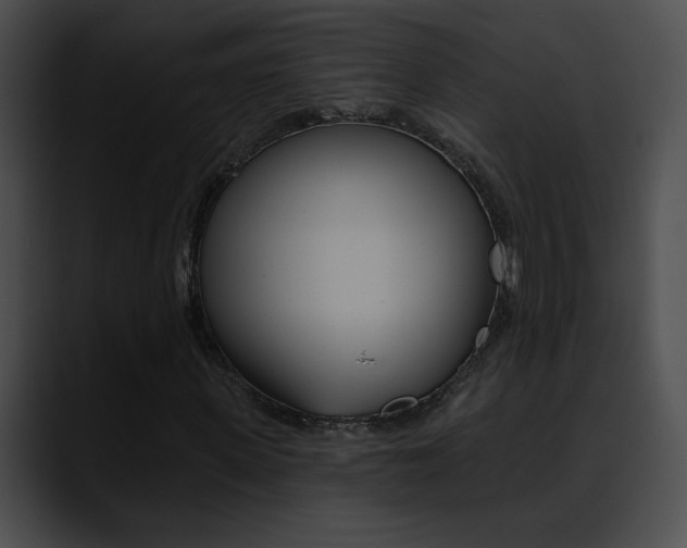 X0000090630915200707171132