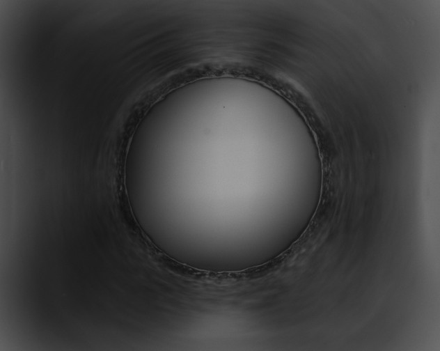 X0000090630919200707171132