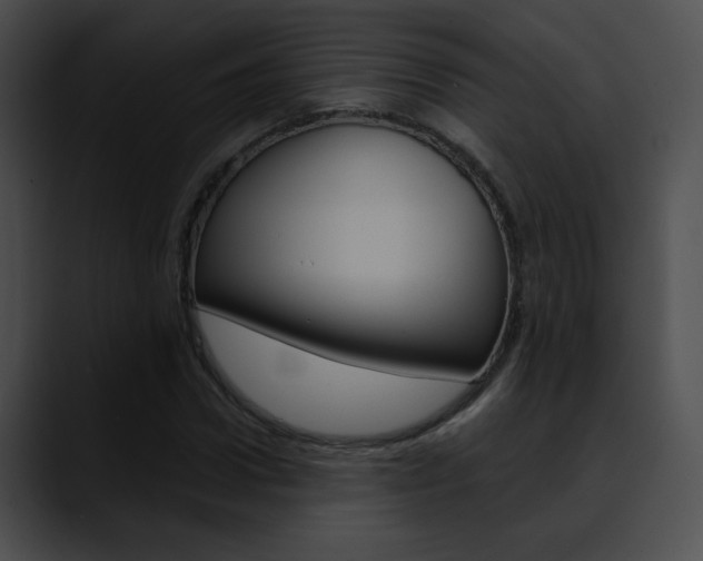 X0000090630922200707171132
