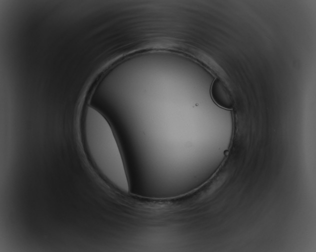 X0000090630939200707171132